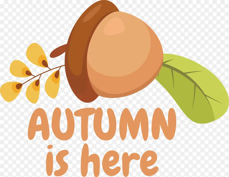 �ı�-??�ı�ˮ��-������