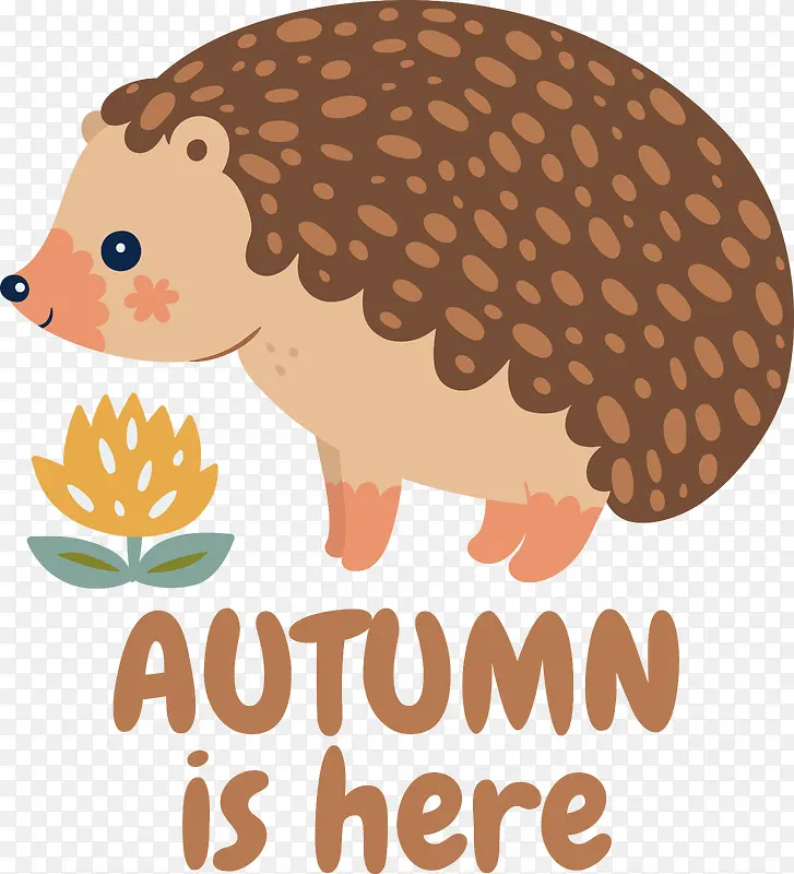 ��ͨ-��ͨ�滭��ͨ��������ݻ�������-������