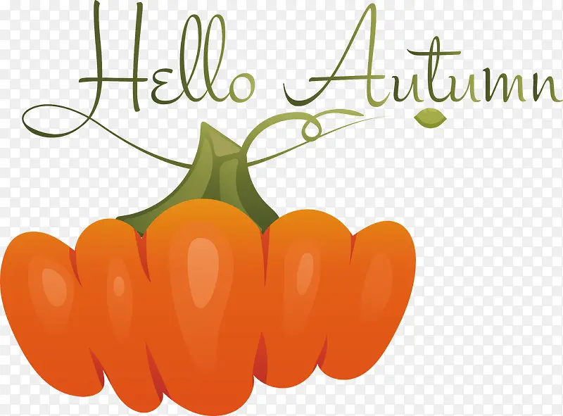 ��ȻʳƷ-�Ϲ��������-������