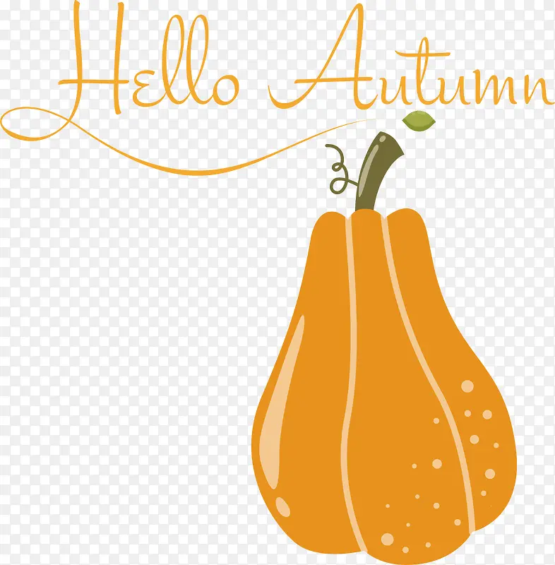 �Ϲ�-��ɫ-������