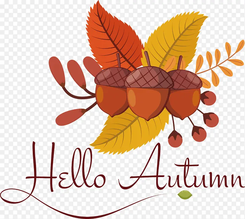 Ҷ-Ҷˮ����ѧֲ������ѧ-������