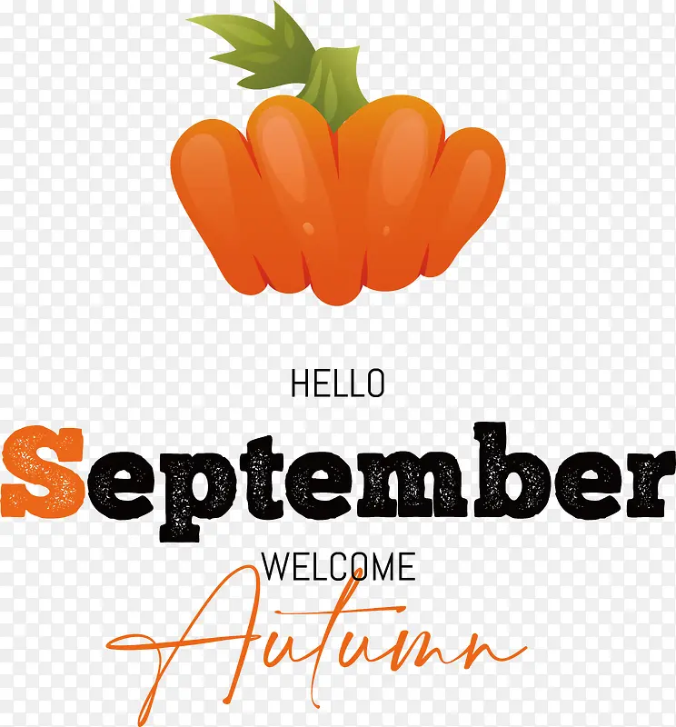 ��ɫ-��ɫ-������