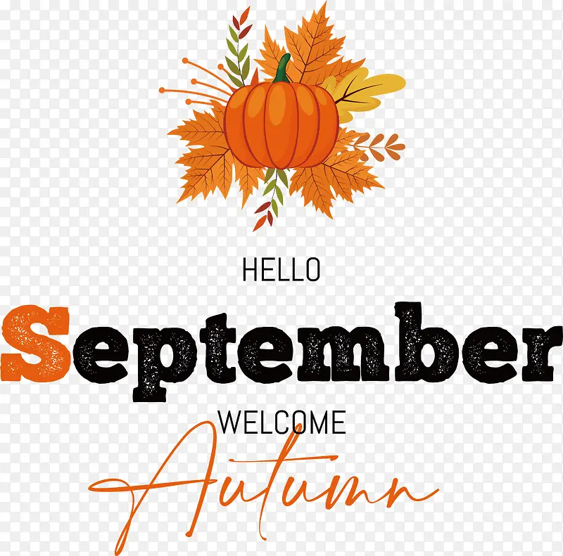 �߲�-�߲˻���־��ˮ��-������