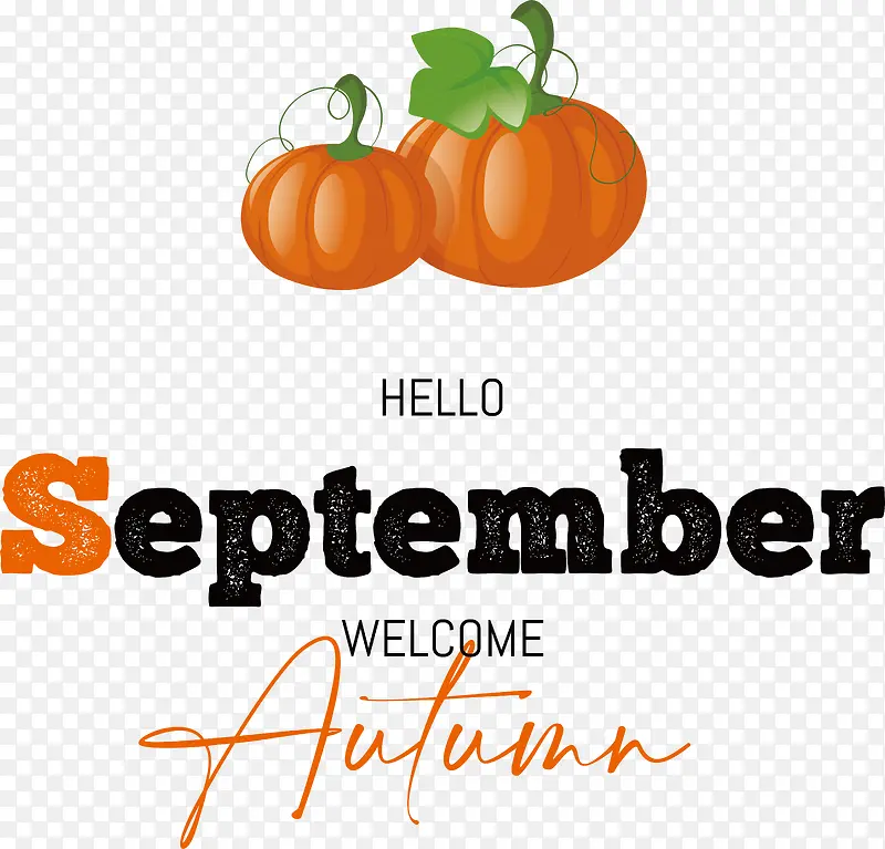 ������͡-������͡��ȻʳƷ����ʳƷ����ȼٴ�����-������