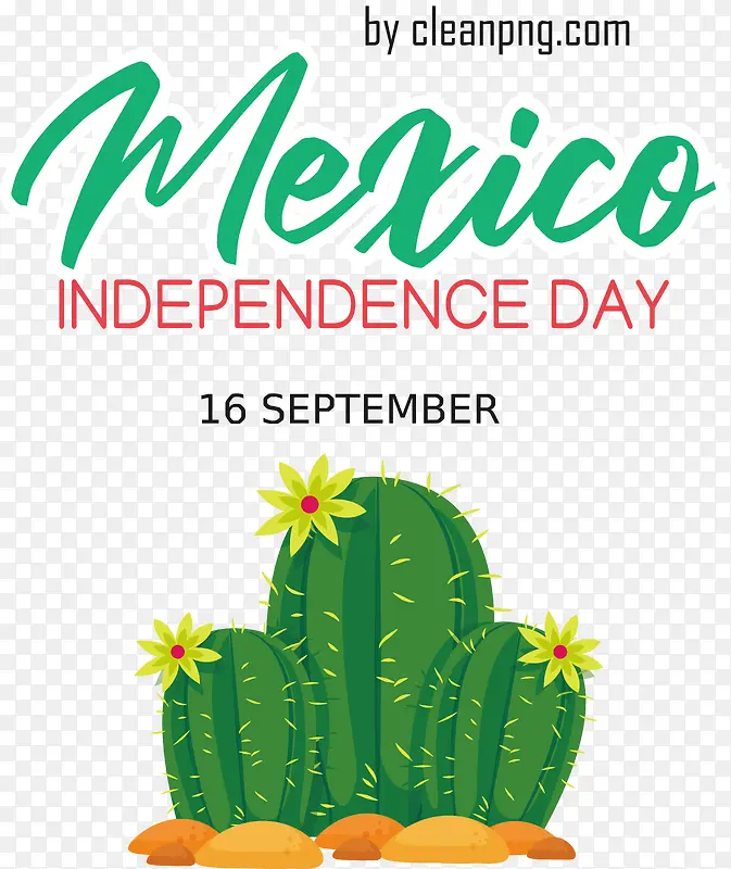 ��֬-ѩ����������m��֬��ʯ����·-������