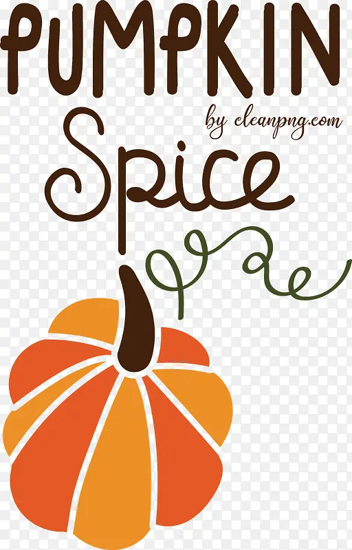 ����-����ˮ�����߲˻�-������