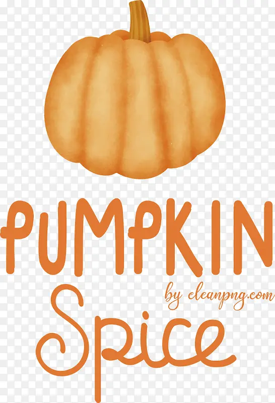 �Ϲ�-��ɫ-������