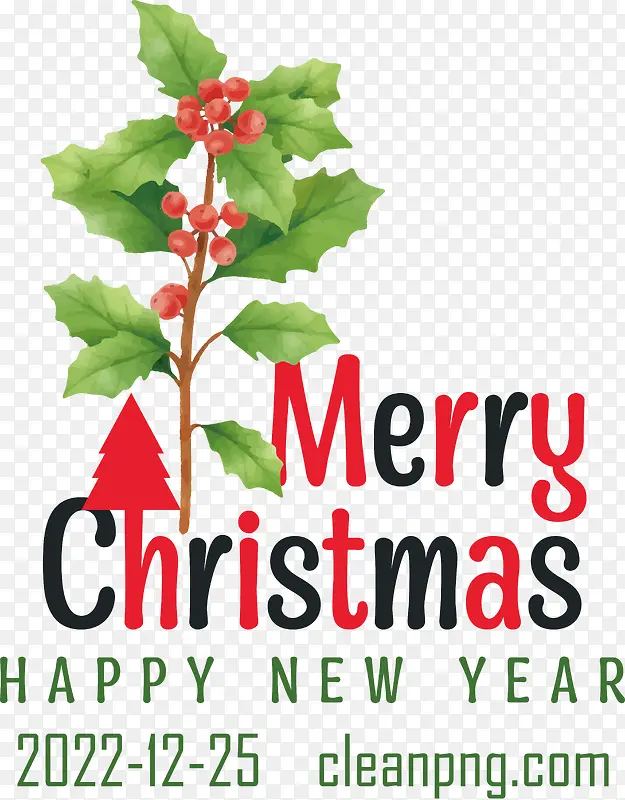 ʥ������-ʥ������-������