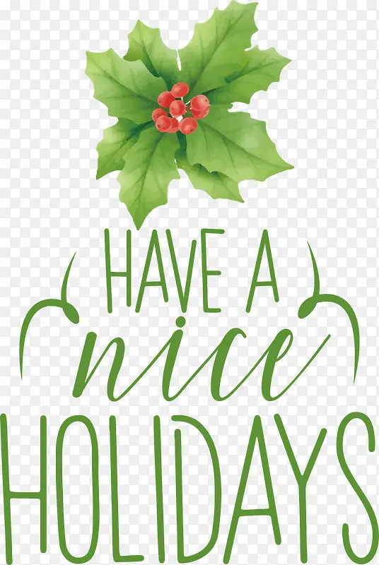 ף��������-ʥ������-������