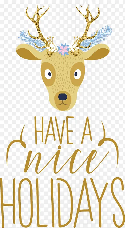 ף��������-ʥ������-������