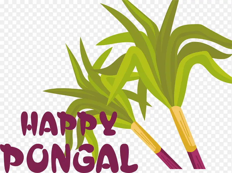 ����ڿ���-����ڿ���-������