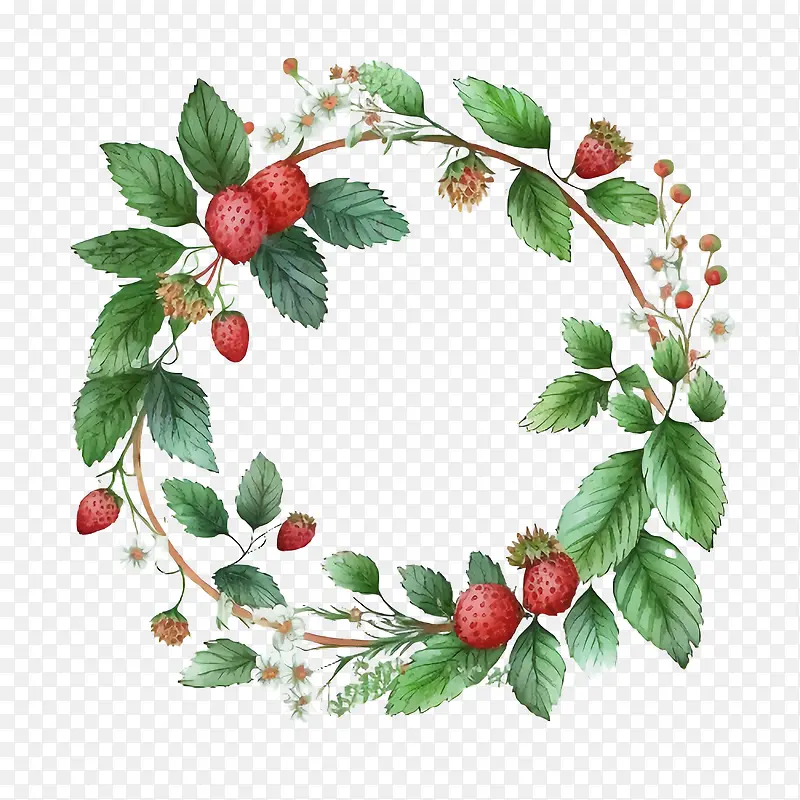 ˮ�ʲ�ݮ-ˮ�ʲ�ݮ�ֻ�Ұ��ݮˮ�ʲ�ݮ����ˮ�ʲ�ݮ��-������