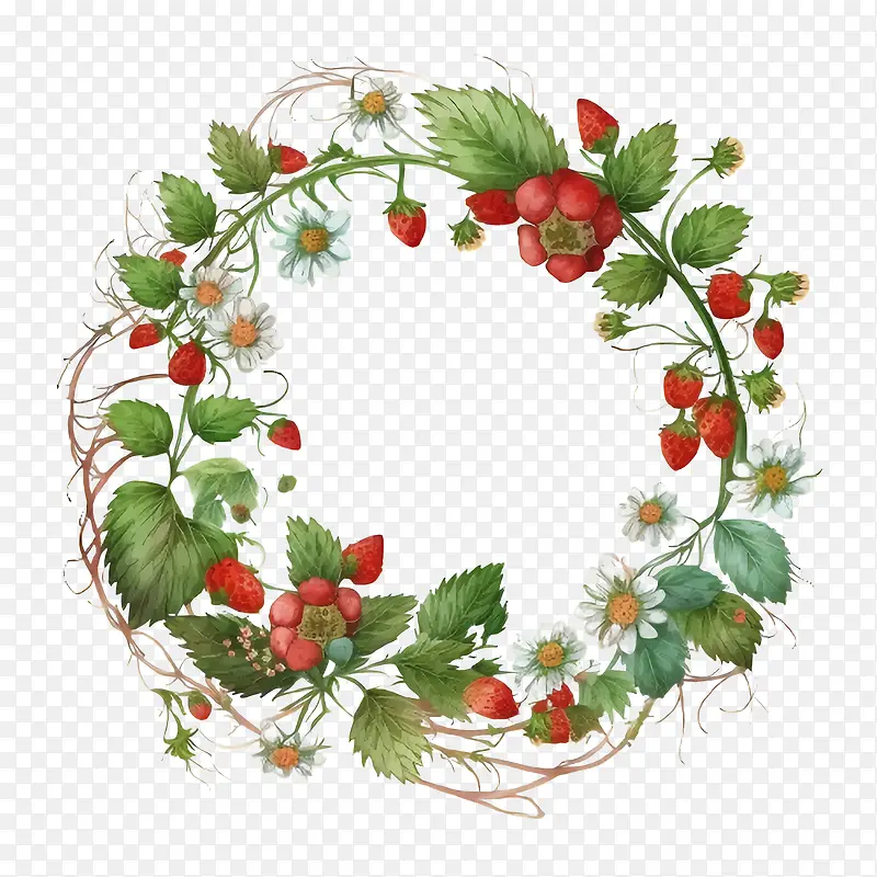 ˮ�ʲ�ݮ-ˮ�ʲ�ݮ�ֻ�Ұ��ݮˮ�ʲ�ݮ����ˮ�ʲ�ݮ��-������