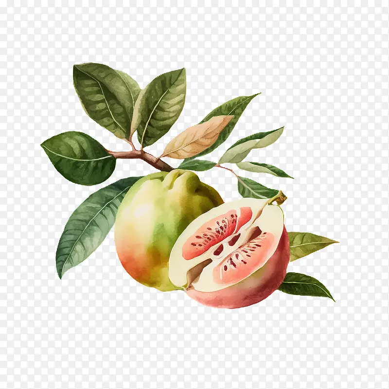 ˮ�ʷ�ʯ��-ˮ�ʷ�ʯ��ˮ��ˮ��-������