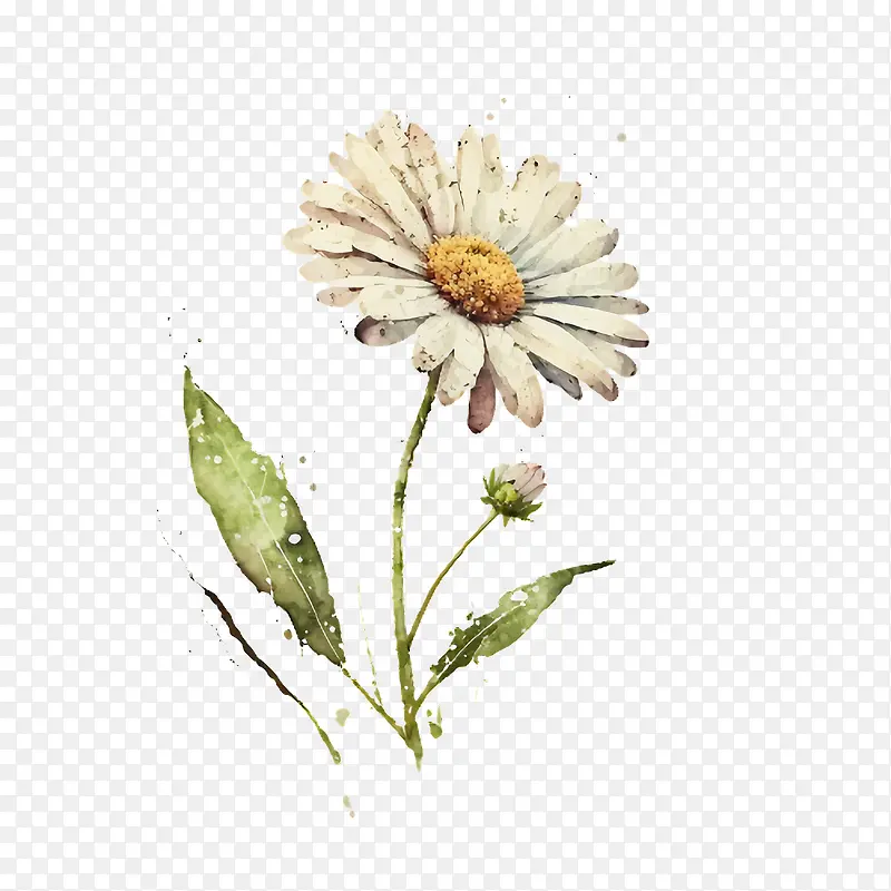 ˮ�ʳ���-ˮ�ʻ�-������