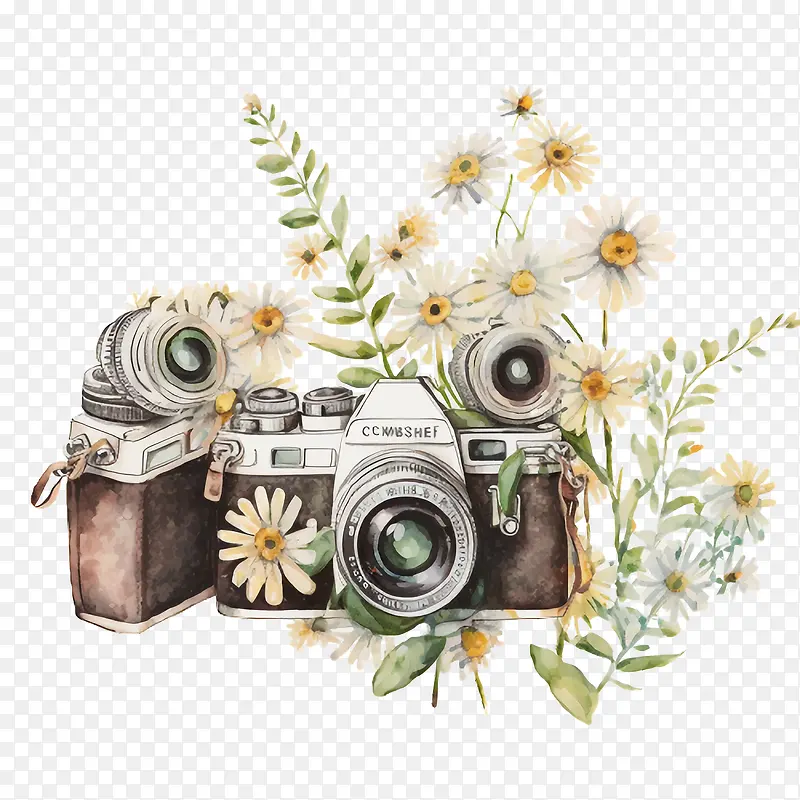 ˮ�ʳ���-ˮ�ʳ����ֻ���ճ��ջ������-������