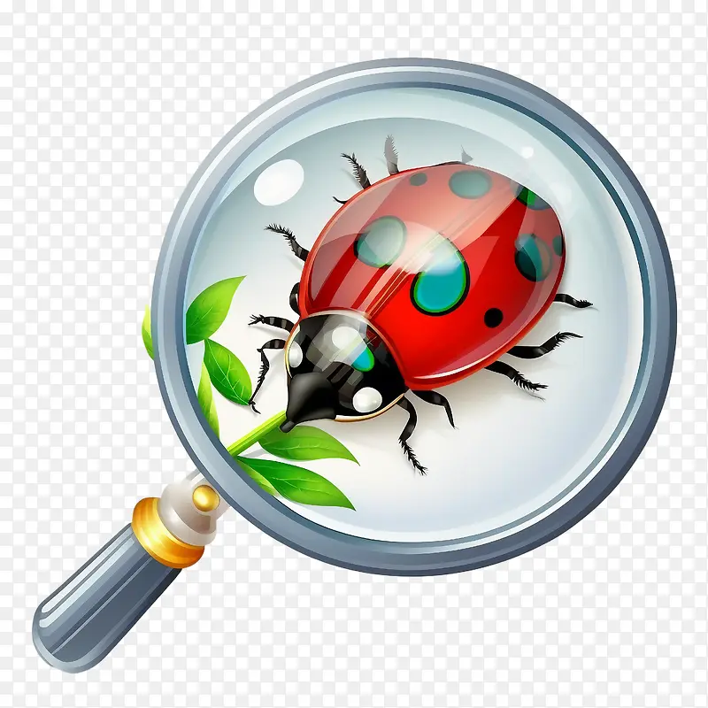 �Ŵ�-�Ŵ�-������