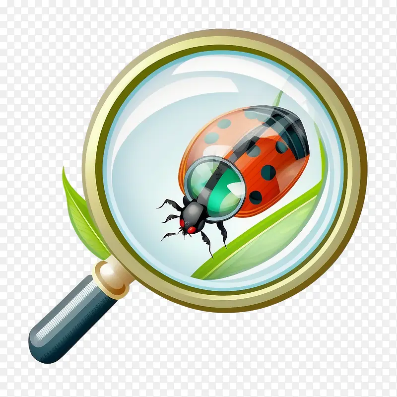 �Ŵ�-�Ŵ�-������