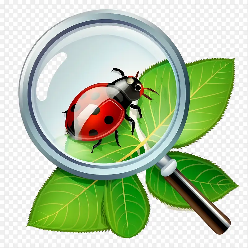 �Ŵ�-�Ŵ�-������