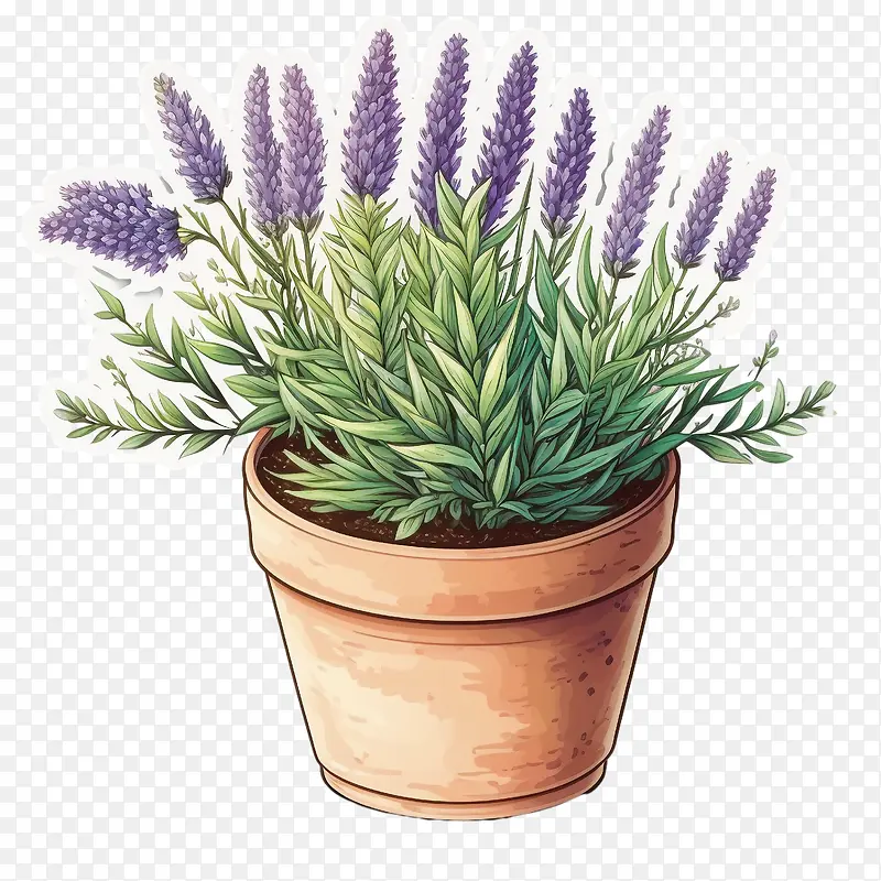 ʢ����޹�²�-ʢ����޹�²ݿɰ���޹�²�޹�²��ڹ���-������