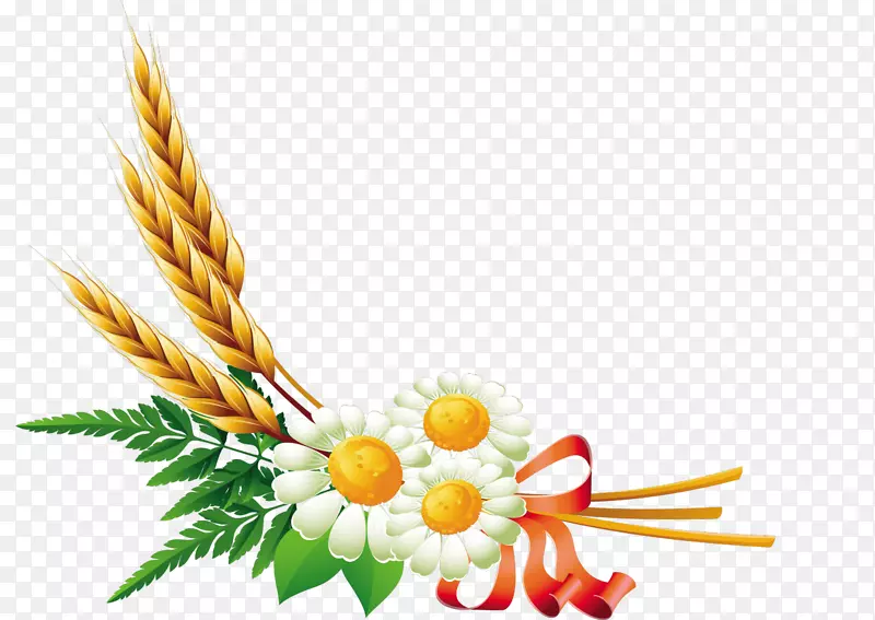 ��Ӱ-Kartikeya-������