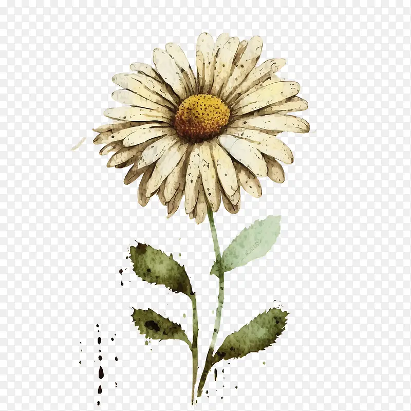 ˮ�ʳ���-ˮ�ʳ���ˮ������-������