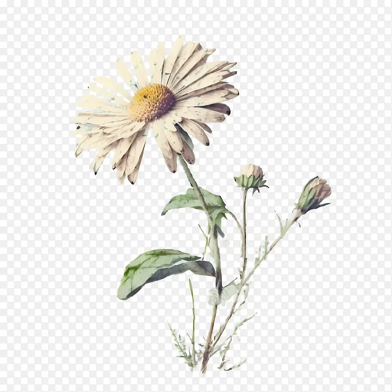 ˮ�ʳ���-ˮ�ʳ���ˮ������-������