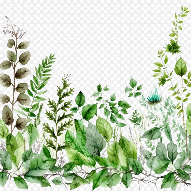 ˮ��Ҷ��-ˮ��Ҷ��-������