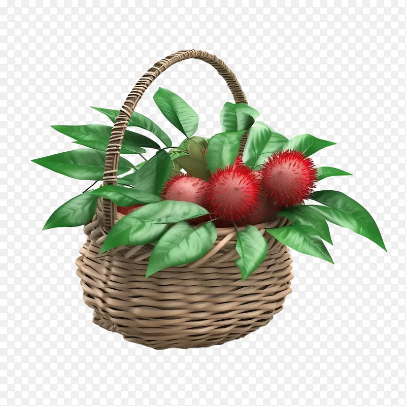 ��ë����������ʳƷ-������