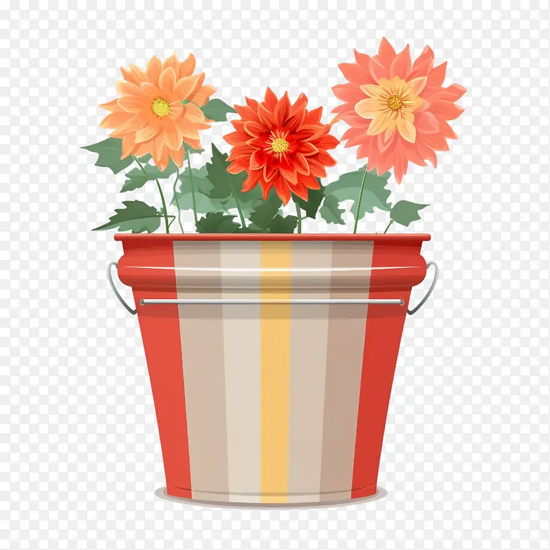 ������-��ɫ-������