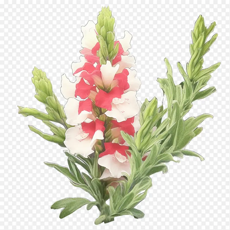 �����-�����ƽ�����ݷۺ�ɫ��ɫ��ɫ-������