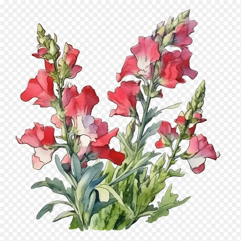 �����-����ݽ���ݻ���ɫ����ˮ�ʻ����ܲ廭-������