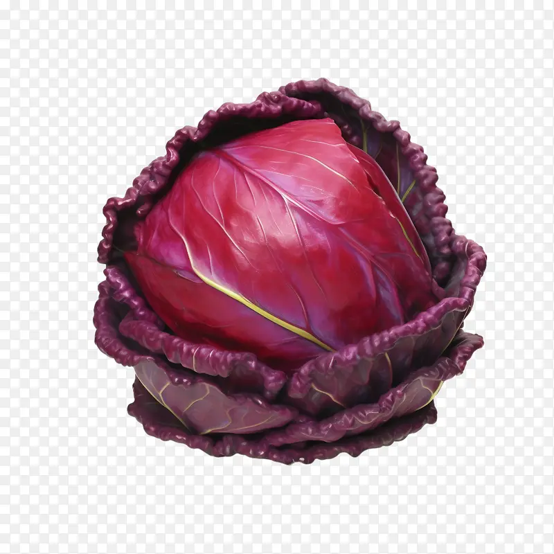 �����-���������������߲�Ҷ���߲��ϸ���-������