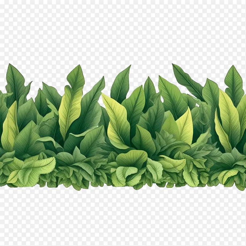 Ҷ�߿�-Ҷ�߿�-������