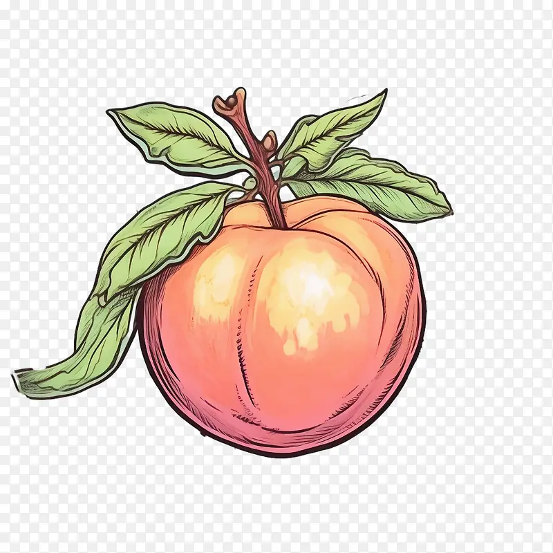 ����-��������ˮ��ʳƷ���-������