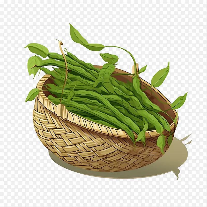 �̶�-�̶��߲˶�����ɫ�߲�-������