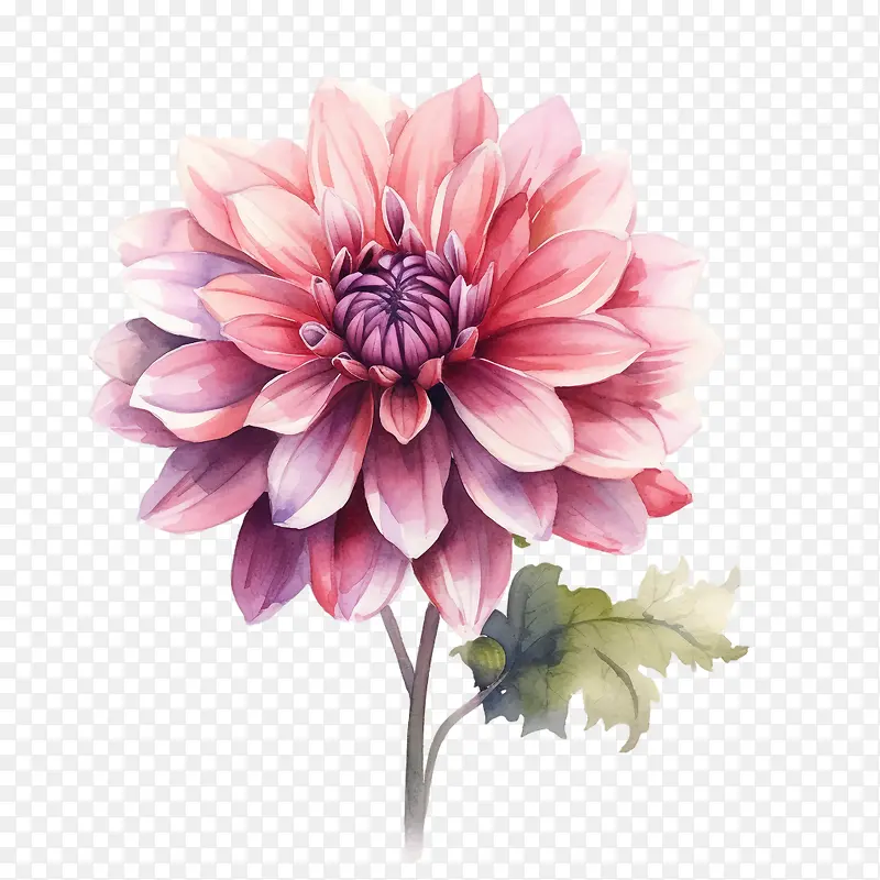 ��������-��������������ˮ��-������