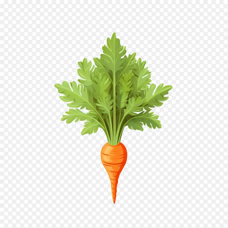 ���ܲ�-��ɫ-������