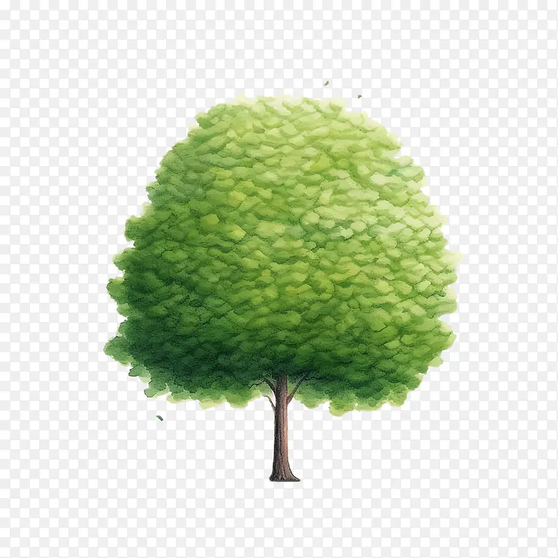 ��-������Ҷ��֦-������