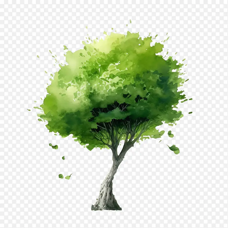 ��-������ɫˮ����֦-������