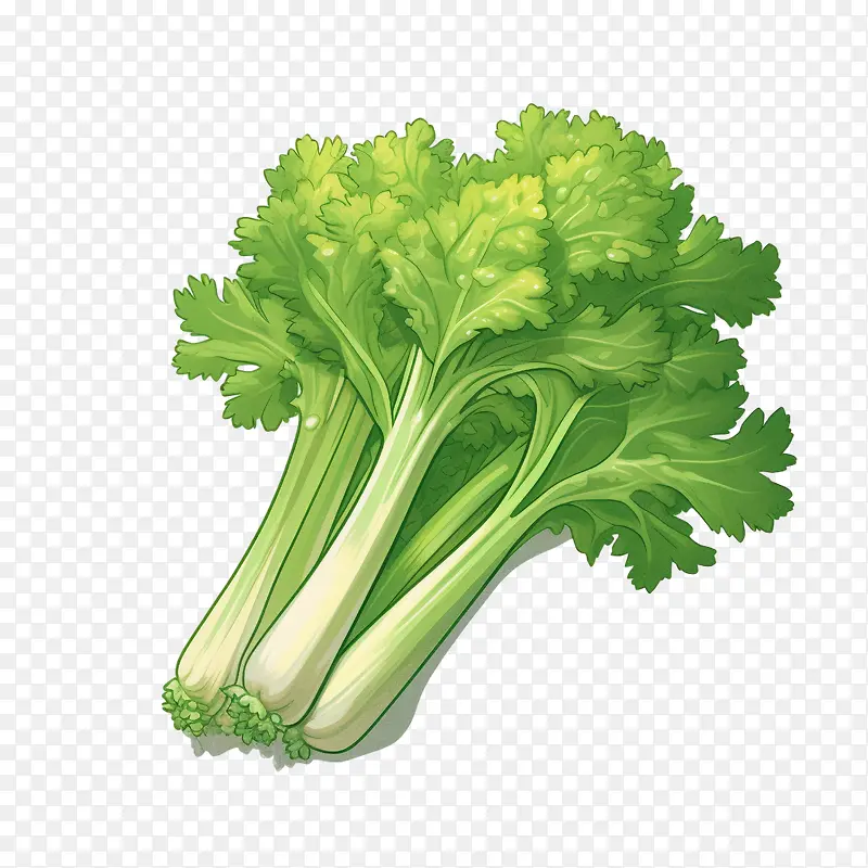 �۲ˡ�������ʳƷ-������