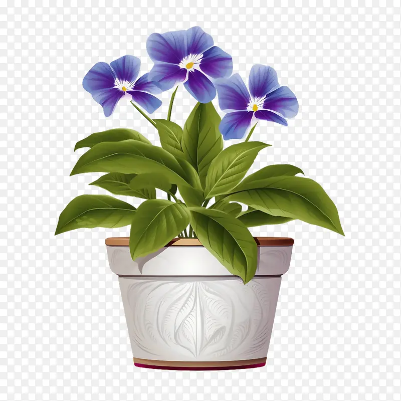 ������-����������������������ֲ��������-������