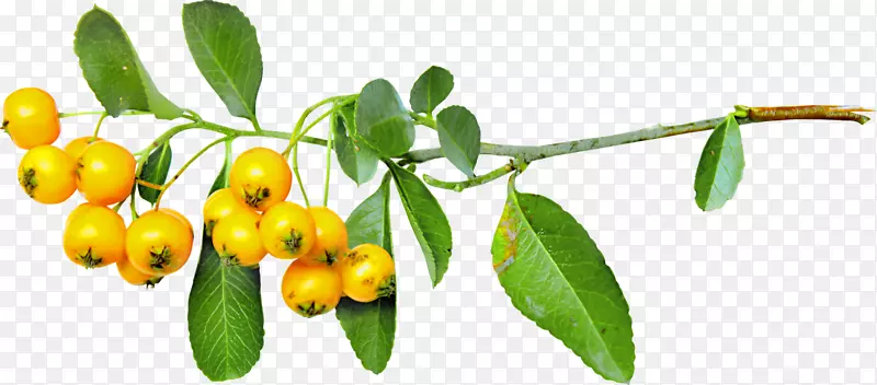 �＾��Ӱ������-����-������