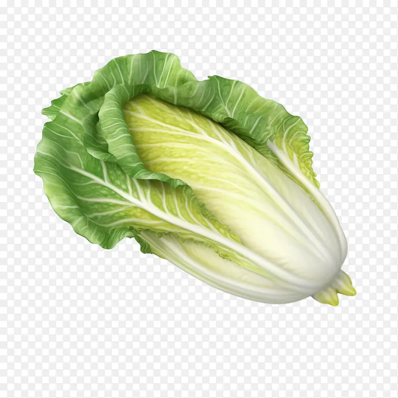 ��ײ�-��ײ˾��Ĳ���Ҷ�߲���ɫ�߲���Ҷ�߲�-������