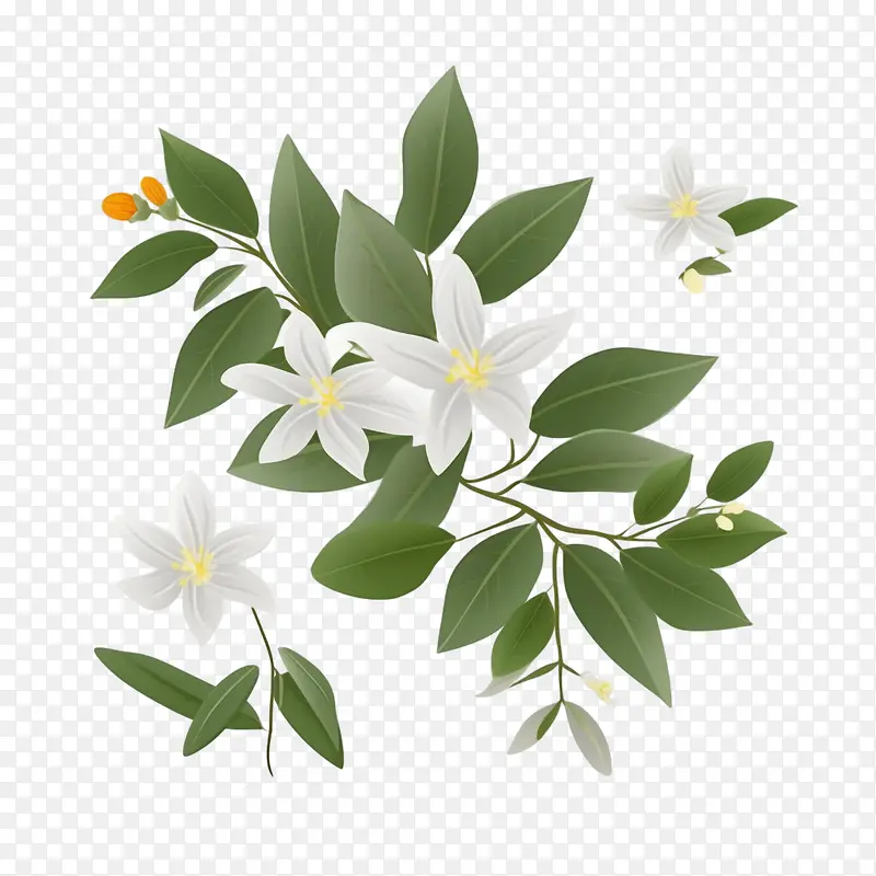 ����-����-������