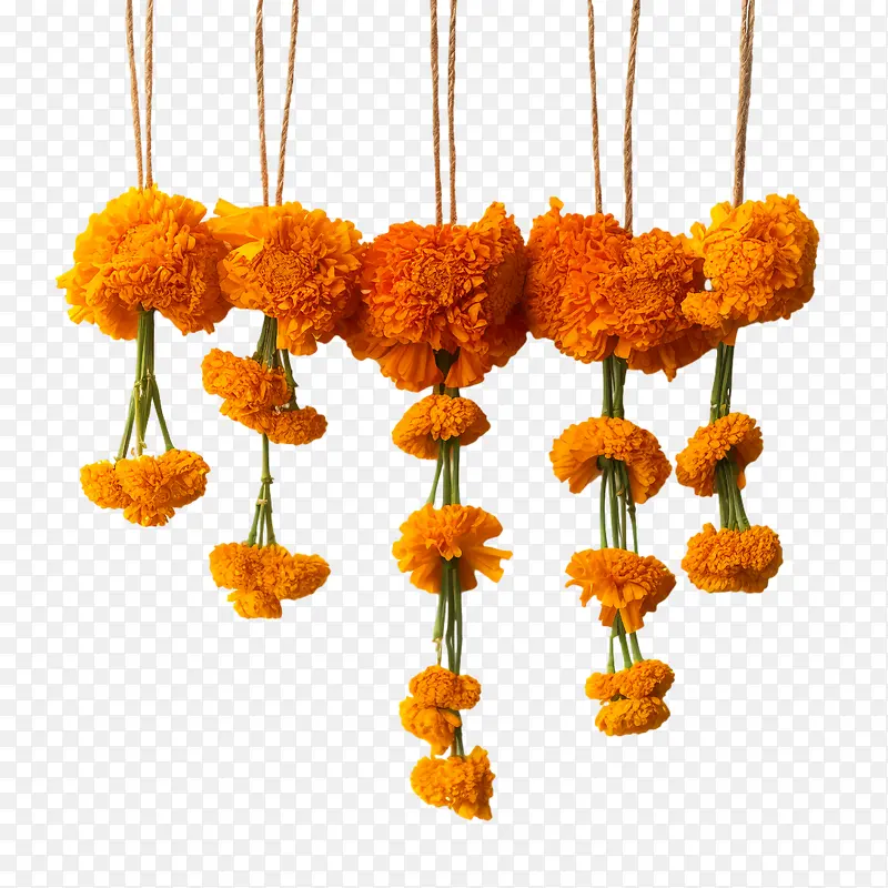 ���پջ���-����-������