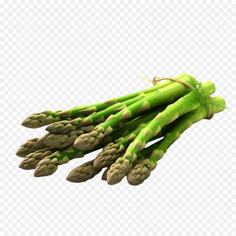 «��-«��«����ɫ�߲˽���-������