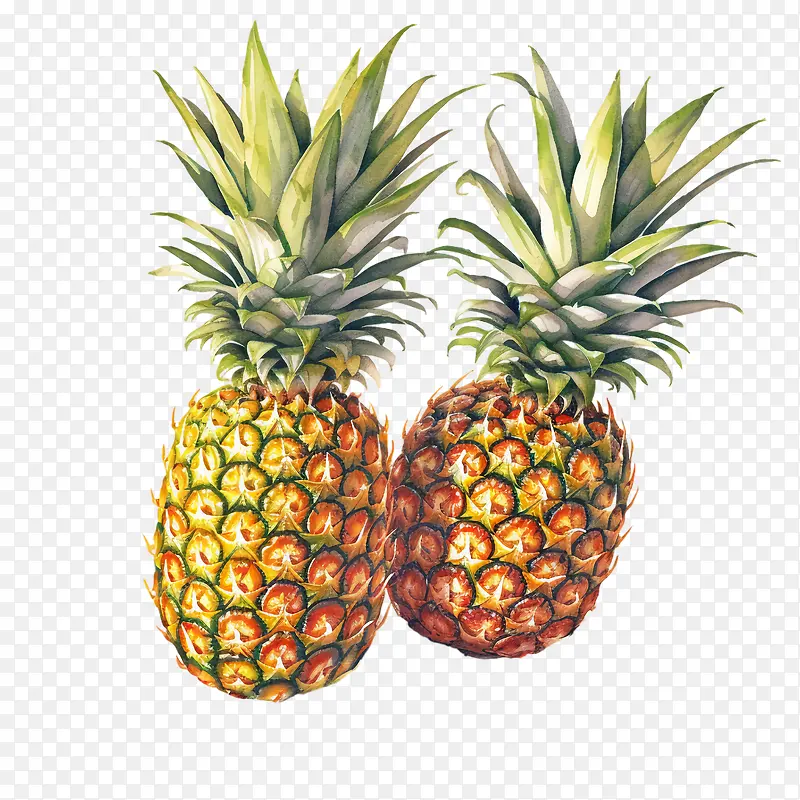 ����-����-������