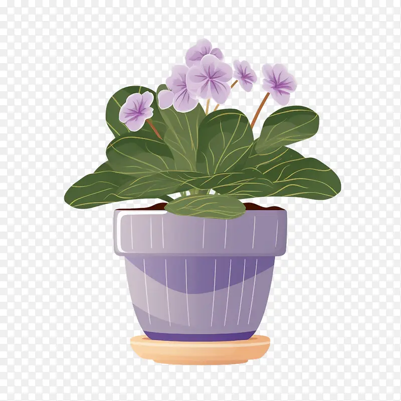 ����������-��������������ֲ��������ɫ����-������