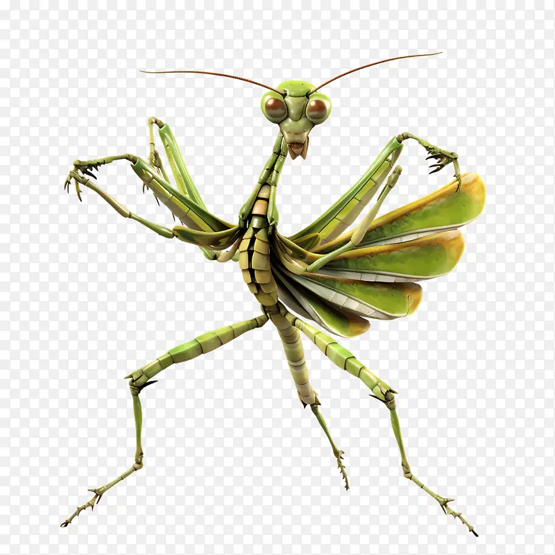 ���-���-������